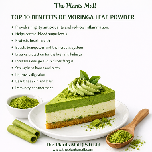 Organic Moringa Powder – 100% Pure & Natural | Superfood for Immunity, Energy & Wellness