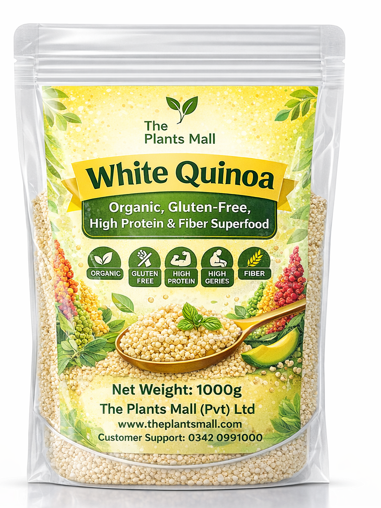 White Quinoa | Organic, Gluten-Free, High Protein & Fiber Superfood