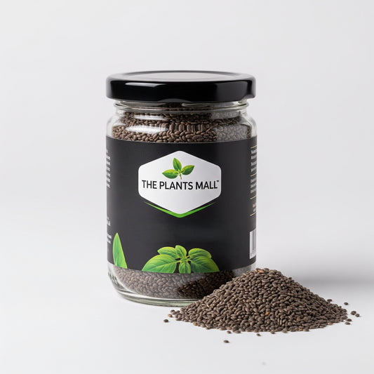 Basil Seeds (Sabja Seeds) تخم ملنگا