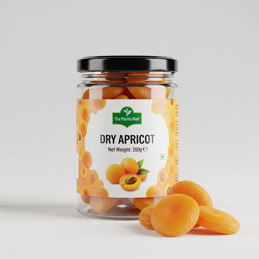 DRY APRICOT