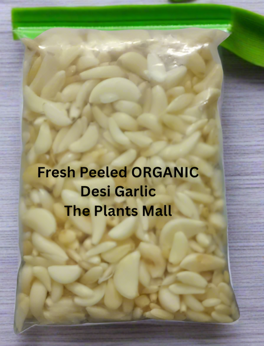 🧄 Premium Fresh Desi Peeled Garlic