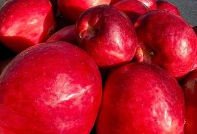 Discover the Rare Saspolo Apple – A Taste of Paradise from Kharmang’s Pari Valley! ✨ Available only on Advance Booking 🍎