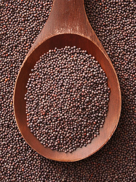 Black Mustard Seeds (Rai Dana)
