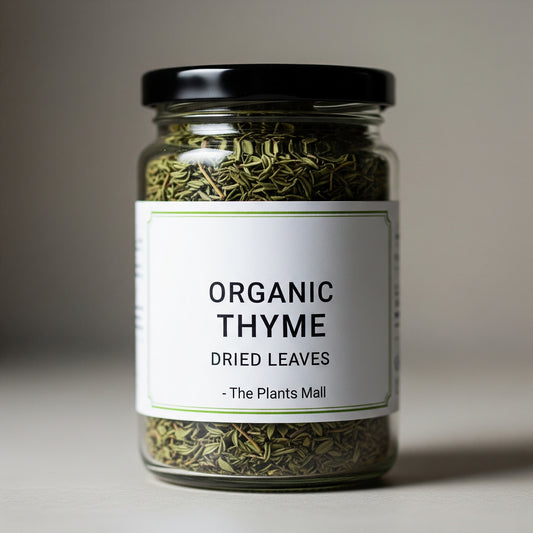 organic-dried-thyme-leaves