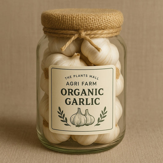 Desi Garlic - دیسی لہسن