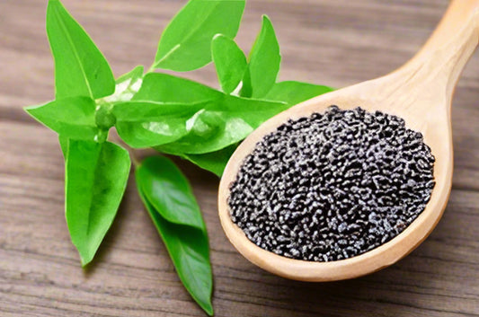 Organic Niazbo Seeds (Ocimum Basilicum)