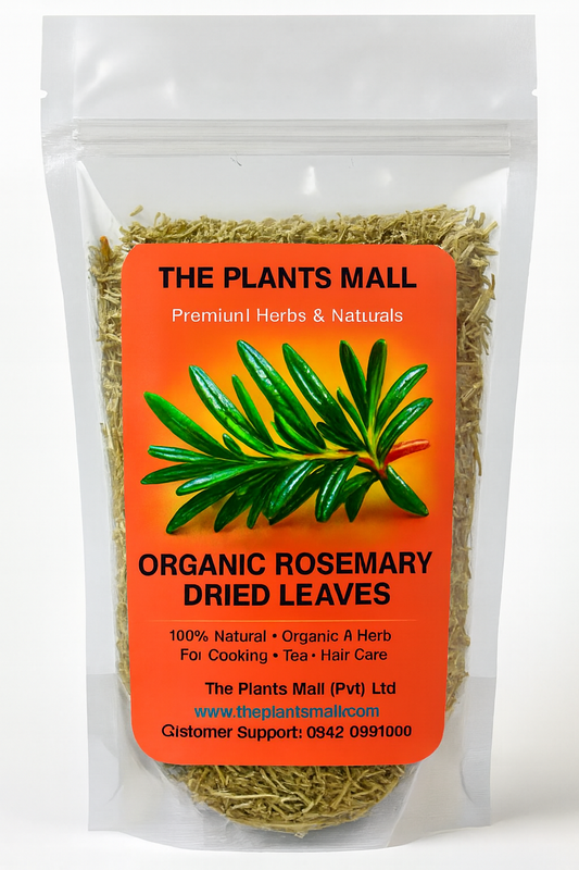 Organic Rosemary Dried Leaves | Premium Quality for Cooking, Tea & Wellness