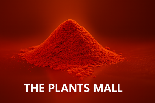 Longi Red Chilli Powder – Pure Kunri | اصل لونگی لال مرچ پاؤڈر – خالص ذائقہ، لاجواب تڑکا