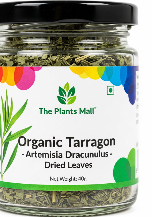 Tarragon-Artemisa dracunculus-dried-leaves-