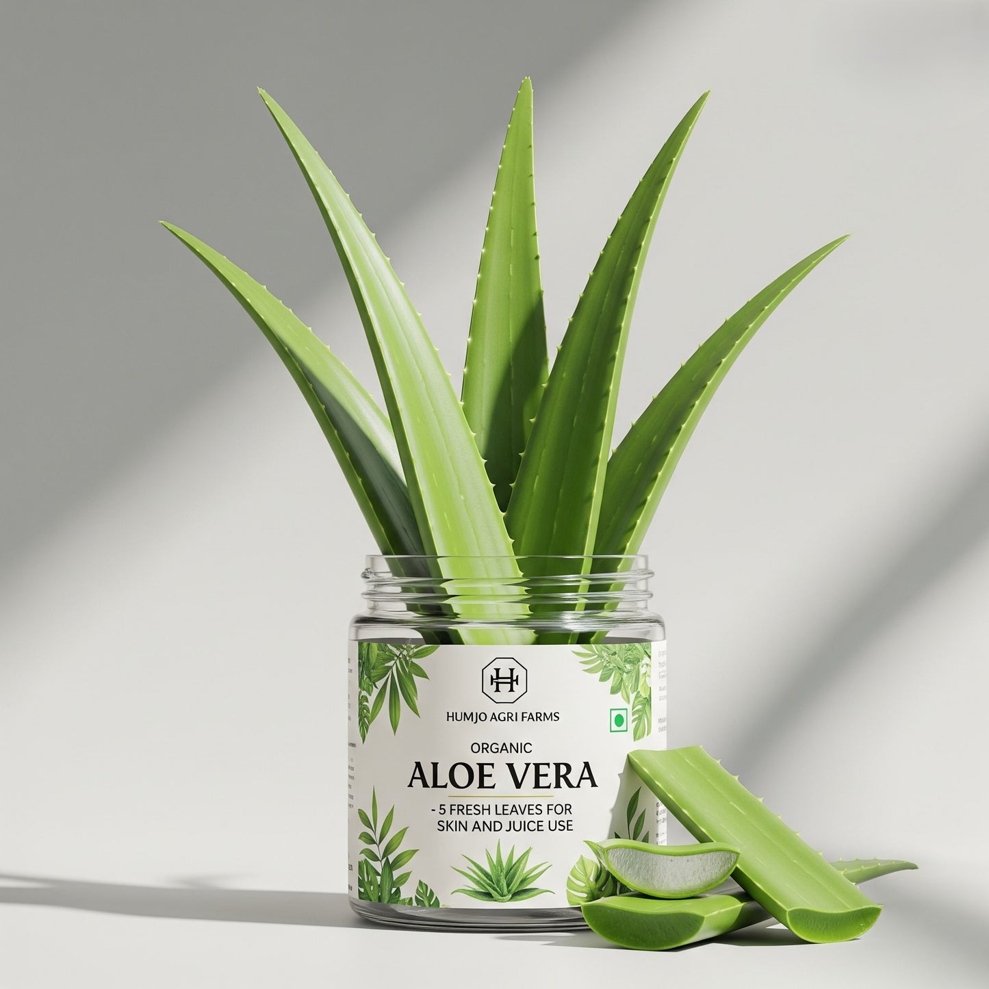 Organic Fresh Aloe Vera Leaves – 100% Natural
