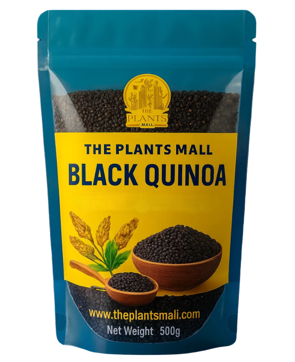 Healthy black quinoa for fitness, weight management, and vegan diets