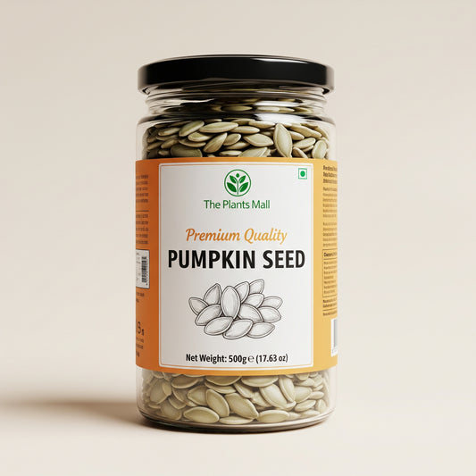 PUMPKIN SEED