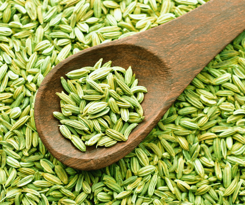Fennel Seeds (Saunf)