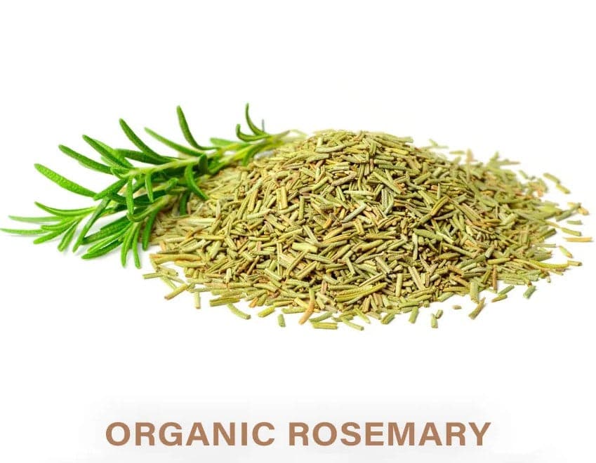 Organic rosemary dried leaves for hair growth scalp care and rosemary water