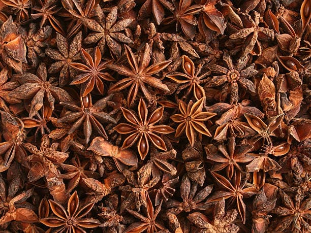 Badian Khatai - Star Anise