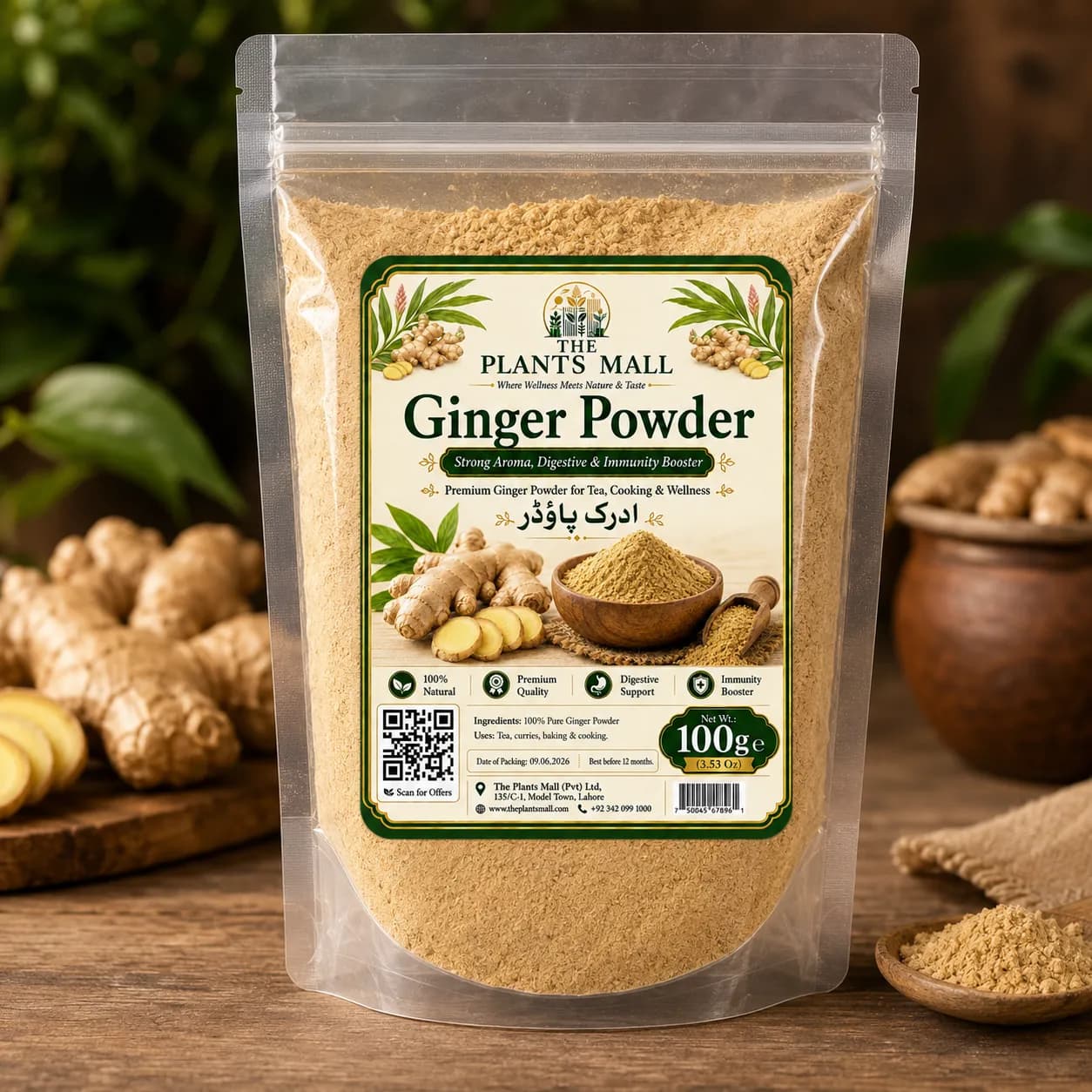 Ginger Powder  | Premium Adrak Powder | 100% Pure Raw Ground Ginger | Natural Dry Ginger Spice | Non-GMO | For Tea, Kahwa, Cooking, Baking & Herbal Drinks