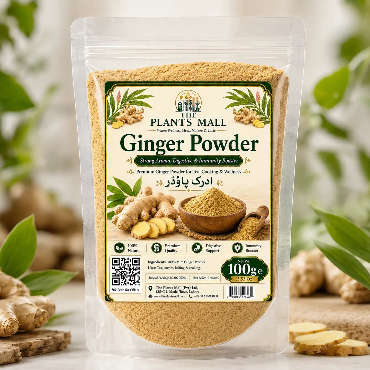 Ginger Powder  | Premium Adrak Powder | 100% Pure Raw Ground Ginger | Natural Dry Ginger Spice | Non-GMO | For Tea, Kahwa, Cooking, Baking & Herbal Drinks