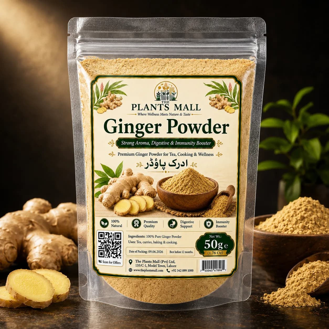 Ginger Powder  | Premium Adrak Powder | 100% Pure Raw Ground Ginger | Natural Dry Ginger Spice | Non-GMO | For Tea, Kahwa, Cooking, Baking & Herbal Drinks