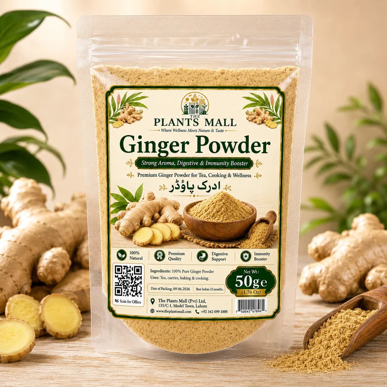 Ginger Powder  | Premium Adrak Powder | 100% Pure Raw Ground Ginger | Natural Dry Ginger Spice | Non-GMO | For Tea, Kahwa, Cooking, Baking & Herbal Drinks