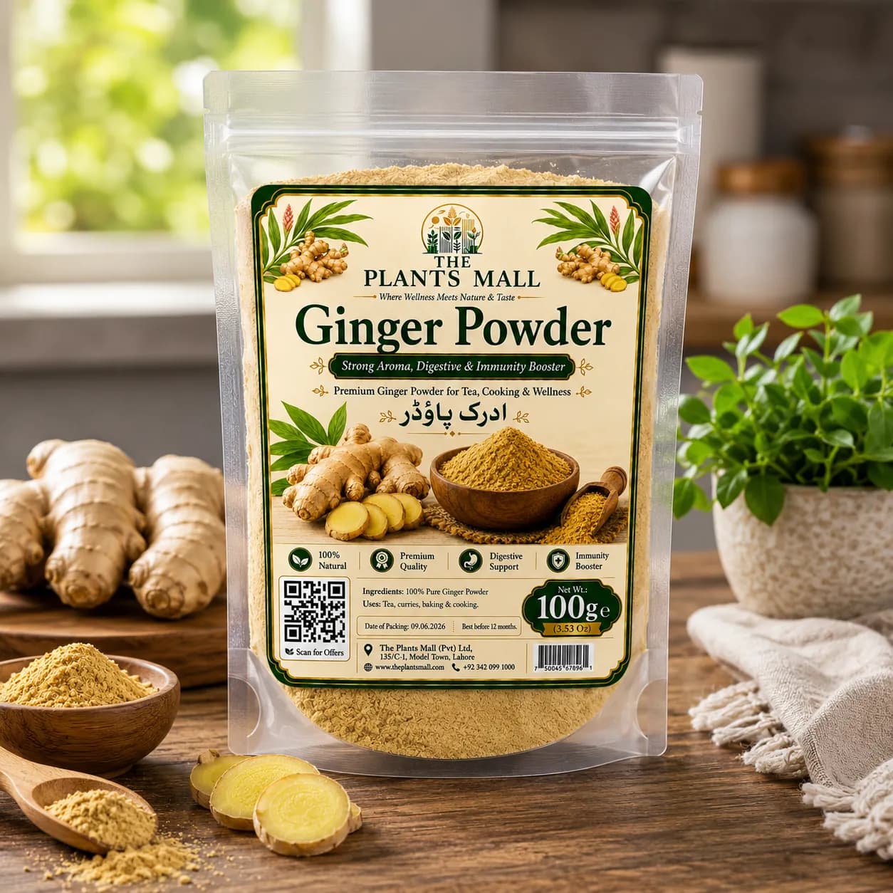 Ginger Powder  | Premium Adrak Powder | 100% Pure Raw Ground Ginger | Natural Dry Ginger Spice | Non-GMO | For Tea, Kahwa, Cooking, Baking & Herbal Drinks