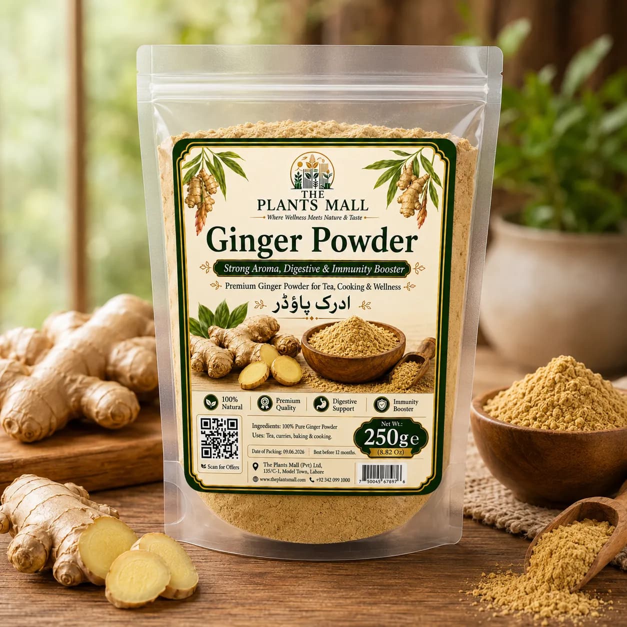 Ginger Powder  | Premium Adrak Powder | 100% Pure Raw Ground Ginger | Natural Dry Ginger Spice | Non-GMO | For Tea, Kahwa, Cooking, Baking & Herbal Drinks