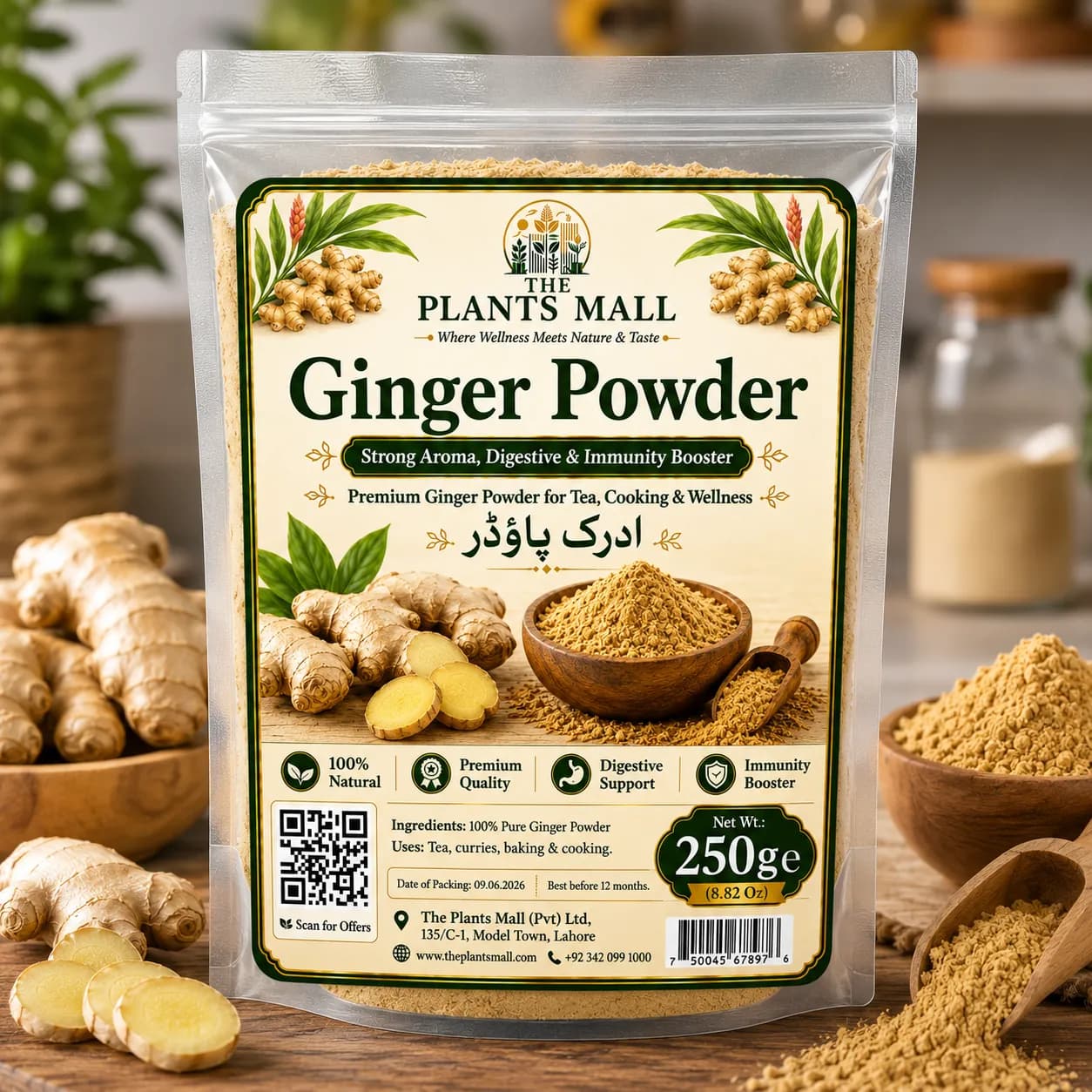 Ginger Powder  | Premium Adrak Powder | 100% Pure Raw Ground Ginger | Natural Dry Ginger Spice | Non-GMO | For Tea, Kahwa, Cooking, Baking & Herbal Drinks