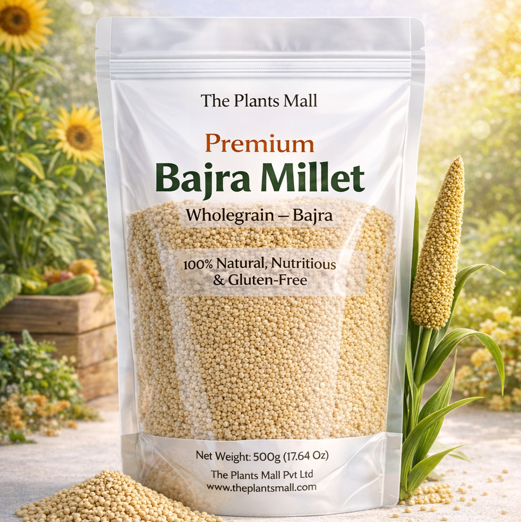 Millet whole grain Bajra The Plants Mall Pakistan