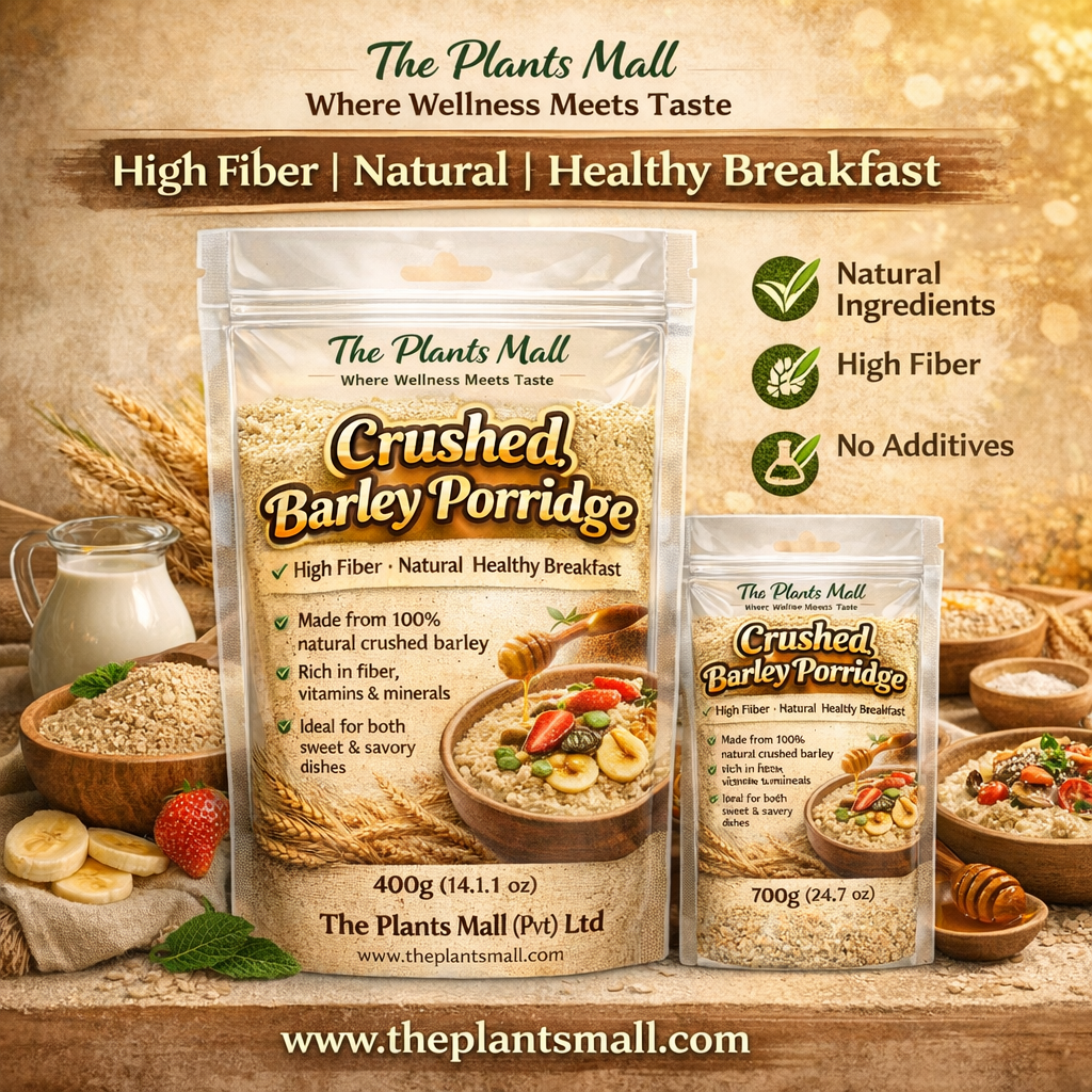 Buy crushed barley porridge, dalia in Pakistan
