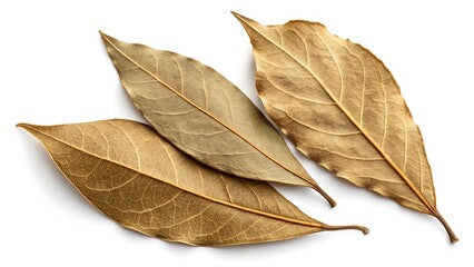 Premium Dried Bay Leaves (Tez Patta)