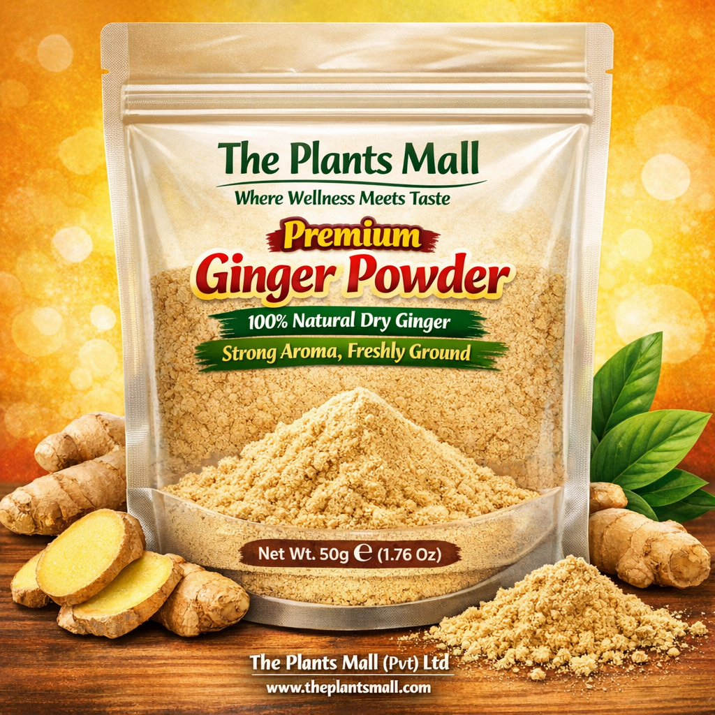 Ginger Powder Natural Saunth The Plants Mall Pakistan