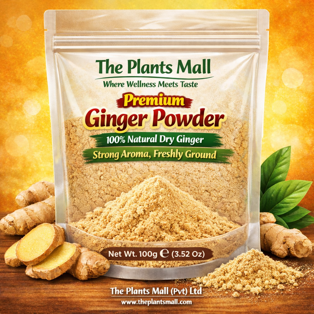 Pure Dry Ginger Powder Herbal Spice Pakistan