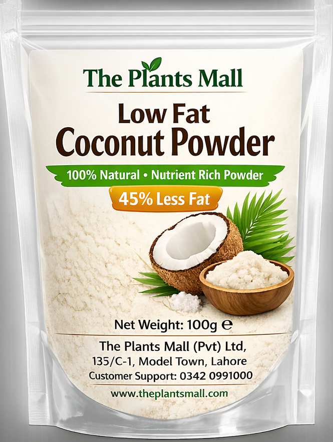 Premium quality coconut powder for traditional sweets and energy bites