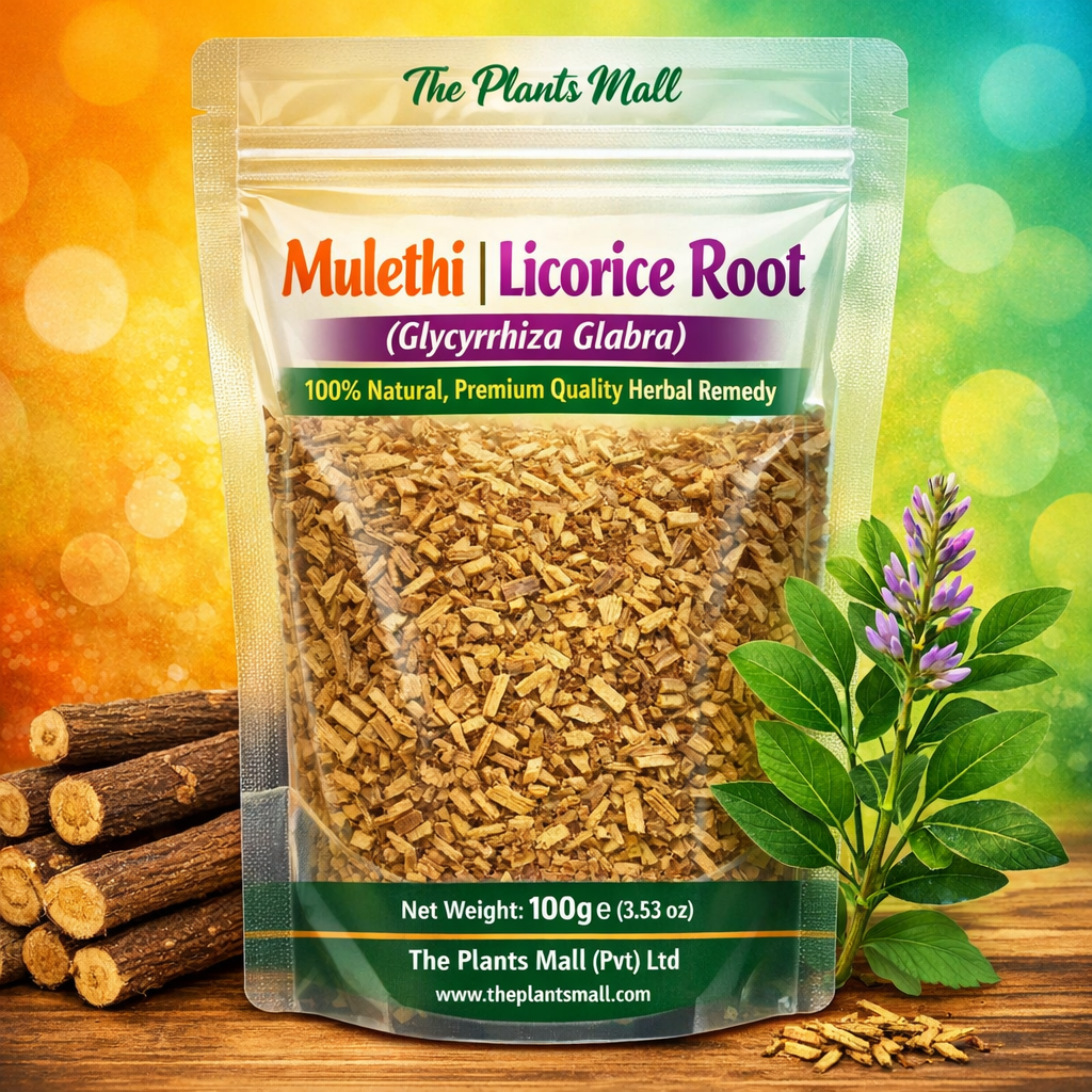 100% natural Mulethi licorice root sticks – premium quality Glycyrrhiza glabra herbal remedy by The Plants Mall Pakistan