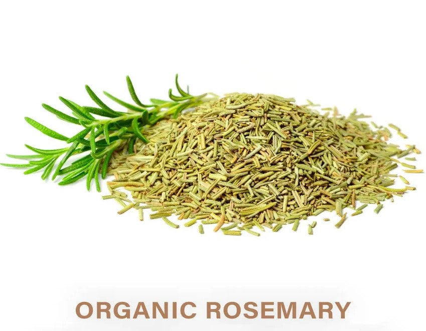 Organic rosemary dried leaves for hair growth scalp care and rosemary water