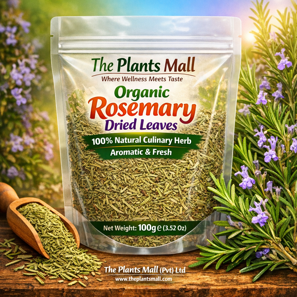 Natural Culinary Rosemary Herb Fresh Aromatic Leaves