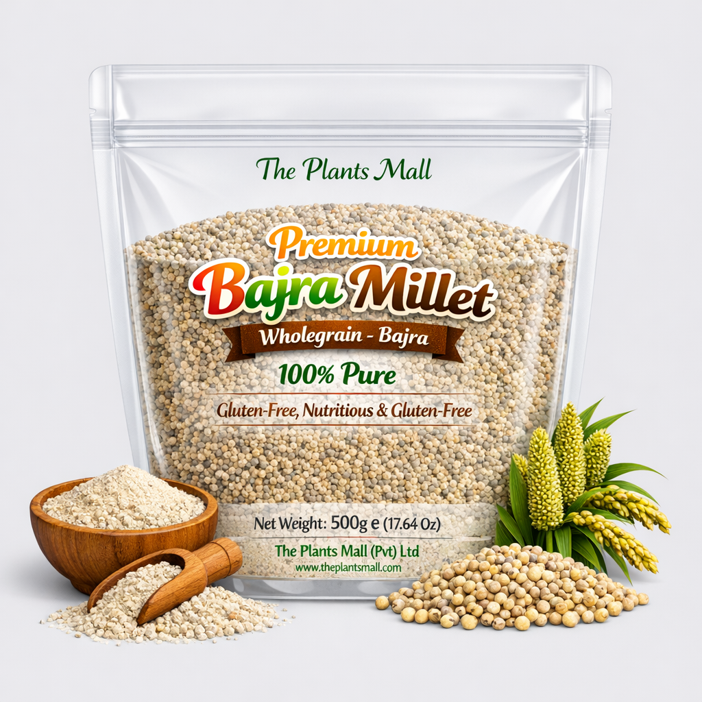 Gluten-Free Bajra Millet Close View Healthy Grain