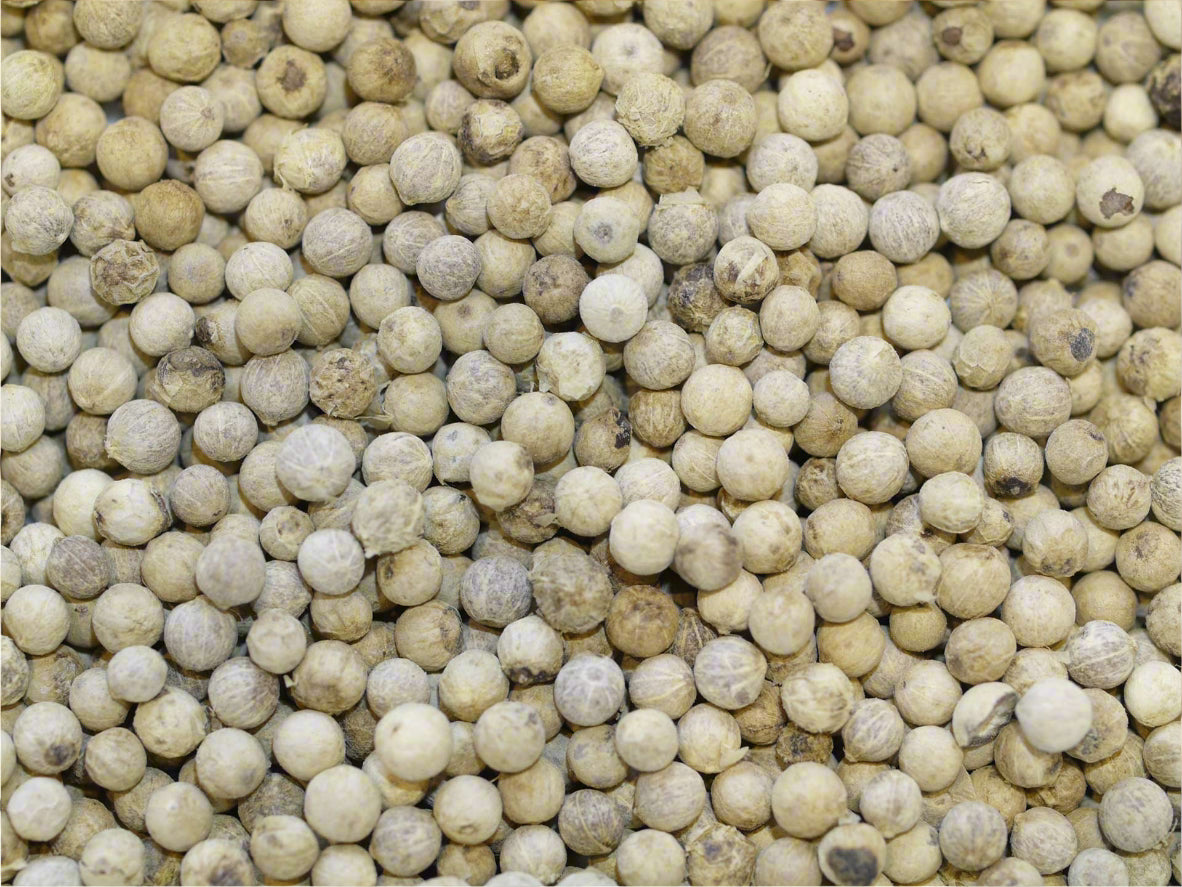 White Pepper Whole – Premium Safed Mirch Seeds