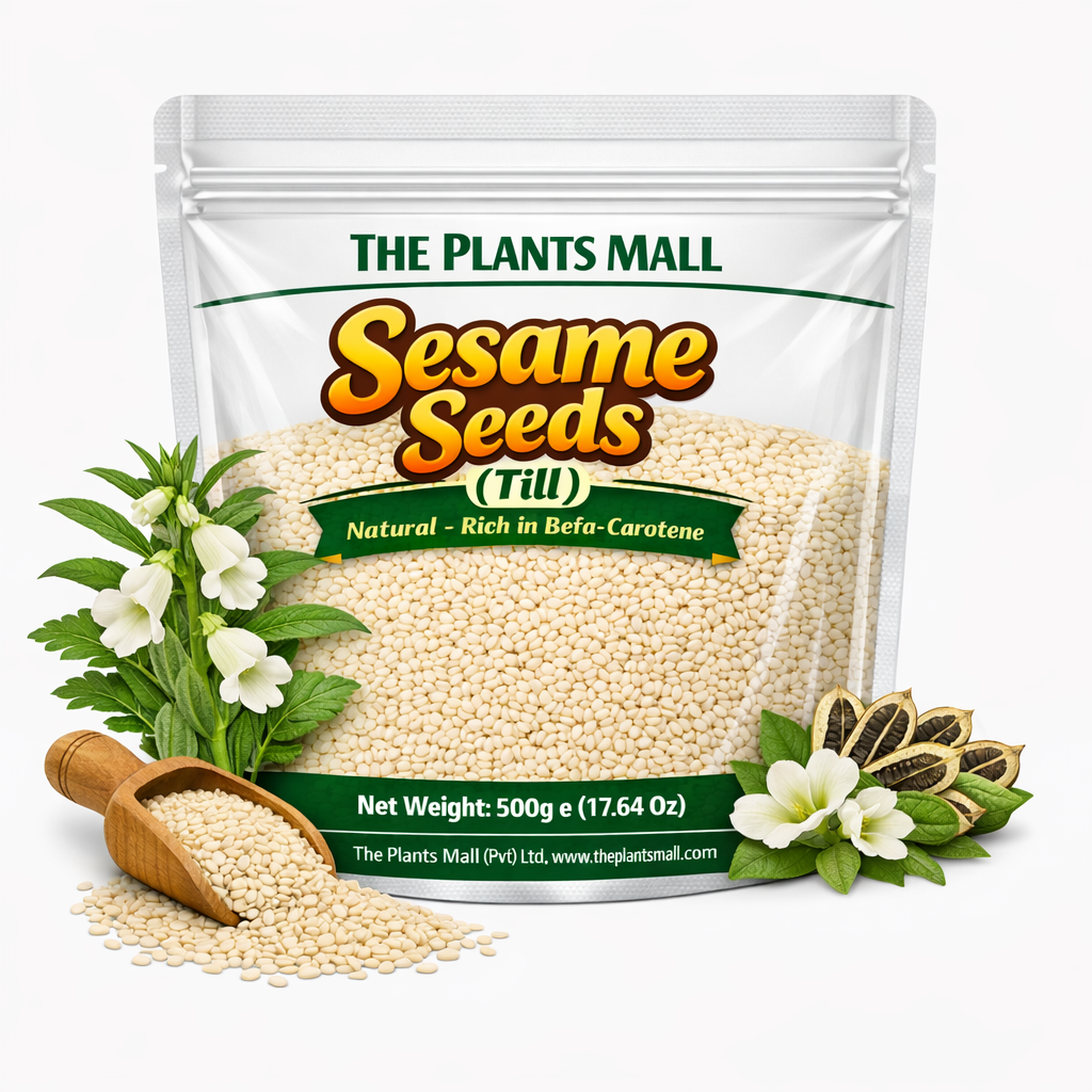 Premium White Sesame Seeds for Baking & Cooking Pakistan