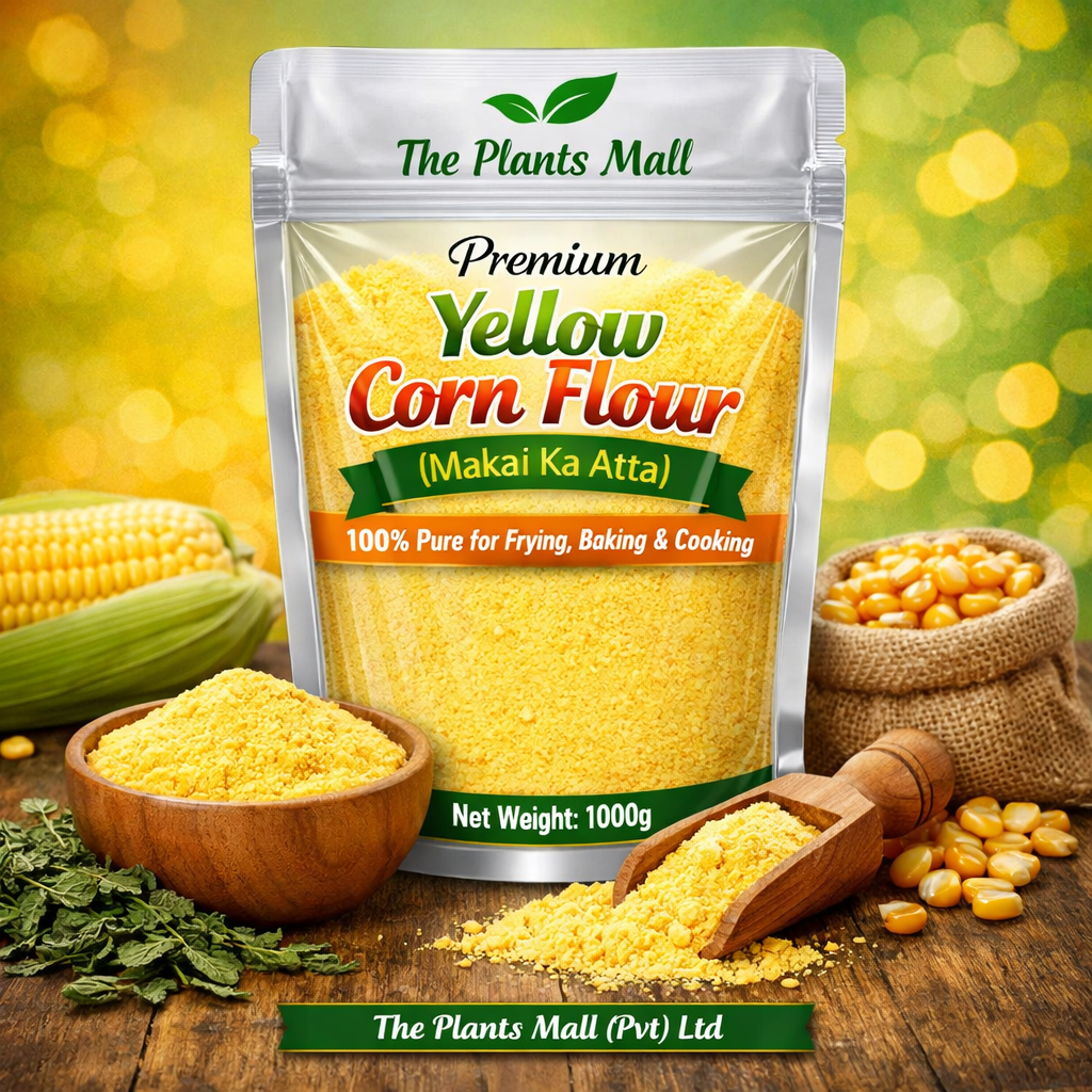 Natural Stone-Ground Yellow Corn Flour – Makai Ka Atta for Healthy Cooking, Baking & Frying. Fresh homemade makai ki roti made with pure yellow corn flour – traditional Pakistani flatbread