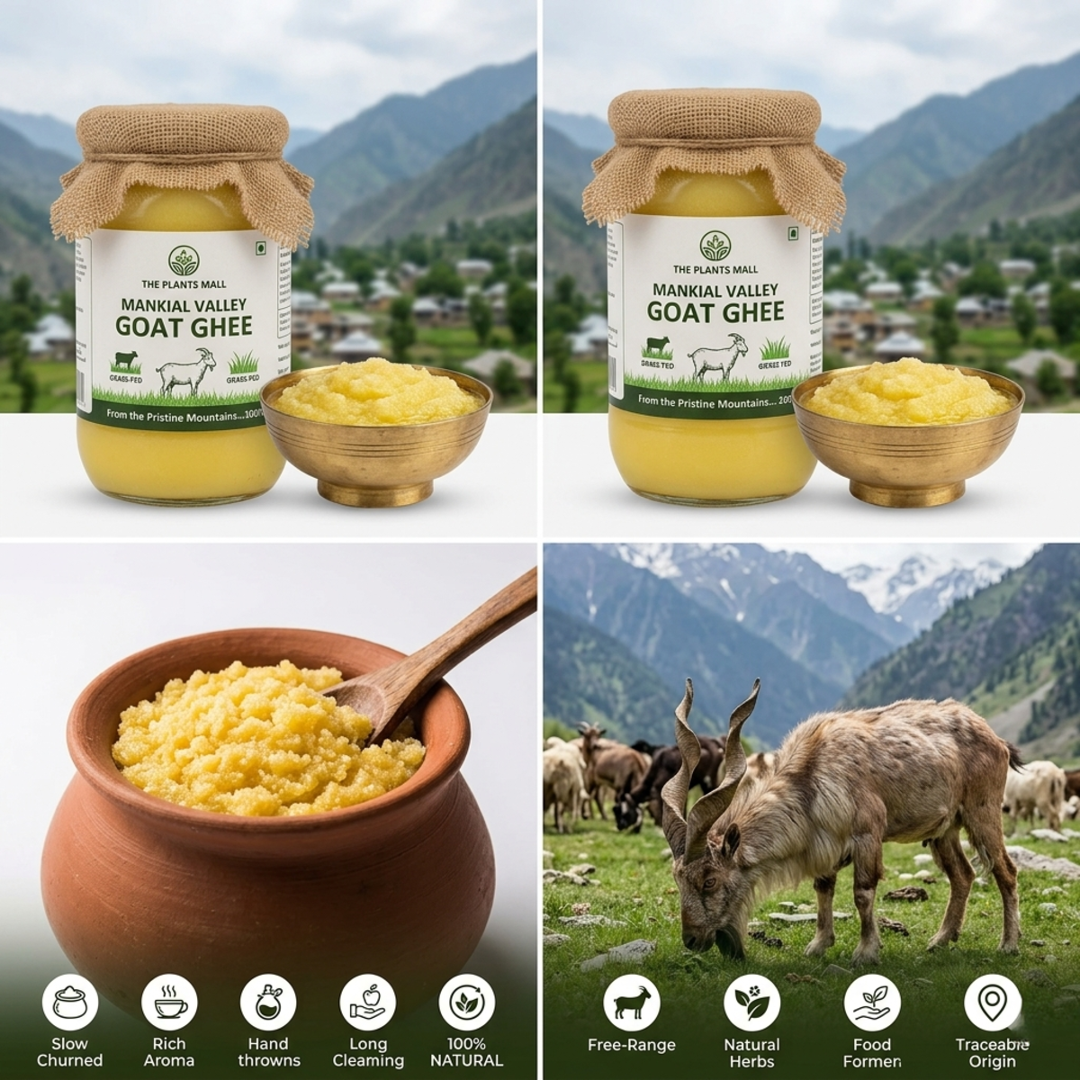 Pure Mankial Valley Goat Ghee – Grass & Natural Herb Fed Desi Goat Ghee from Swat | Organic Bilona Goat Milk Ghee