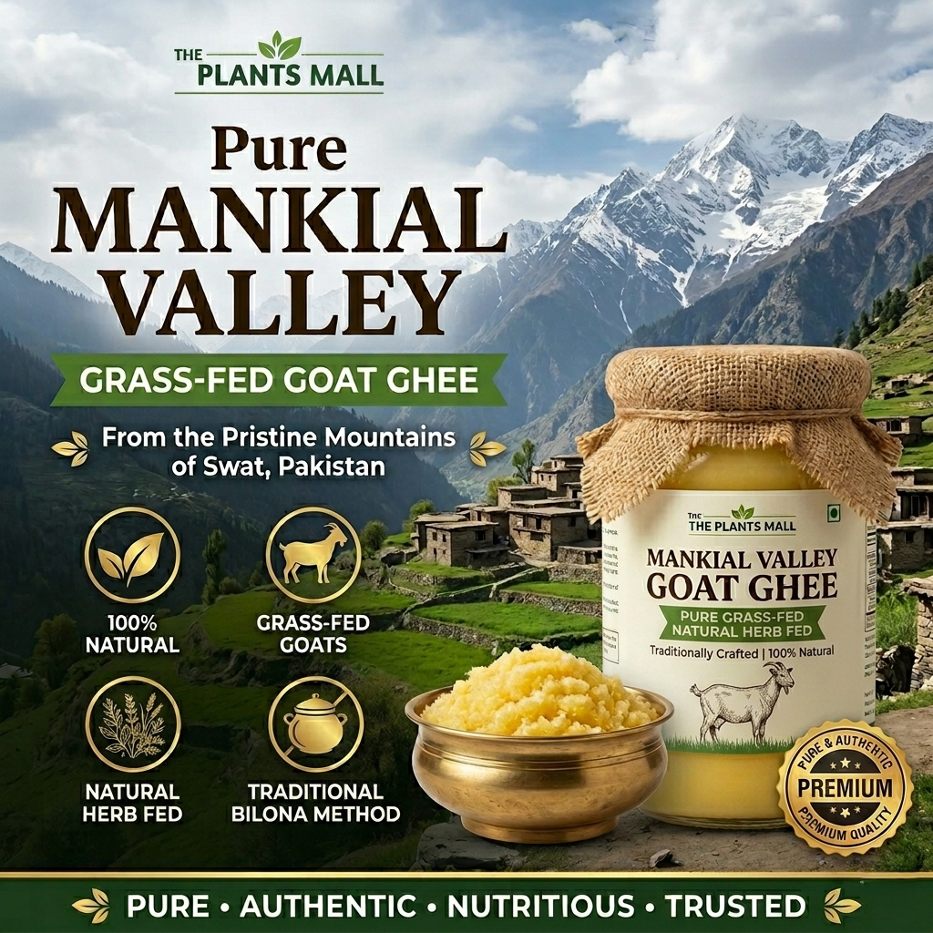 Pure Mankial Valley Goat Ghee – Grass & Natural Herb Fed Desi Goat Ghee from Swat | Organic Bilona Goat Milk Ghee