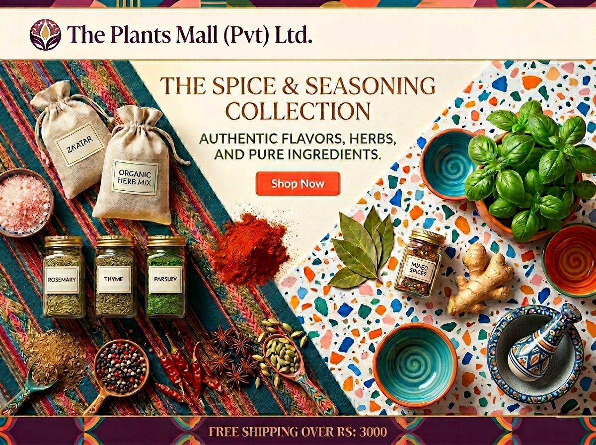 Spice & Seasoning