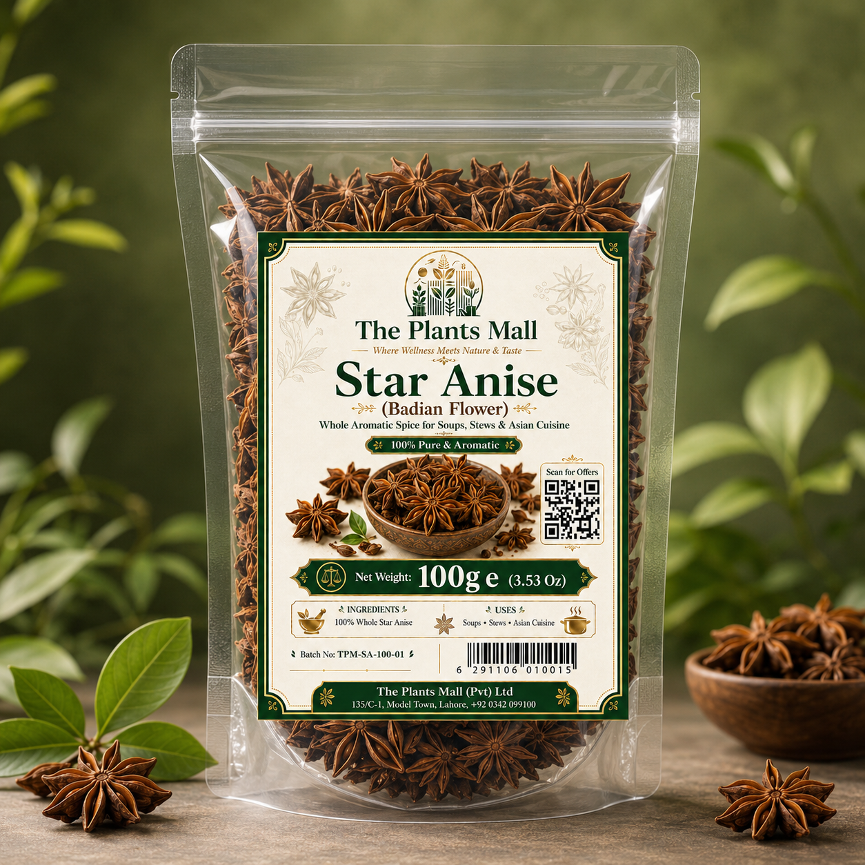 Badian Khatai - Star Anise