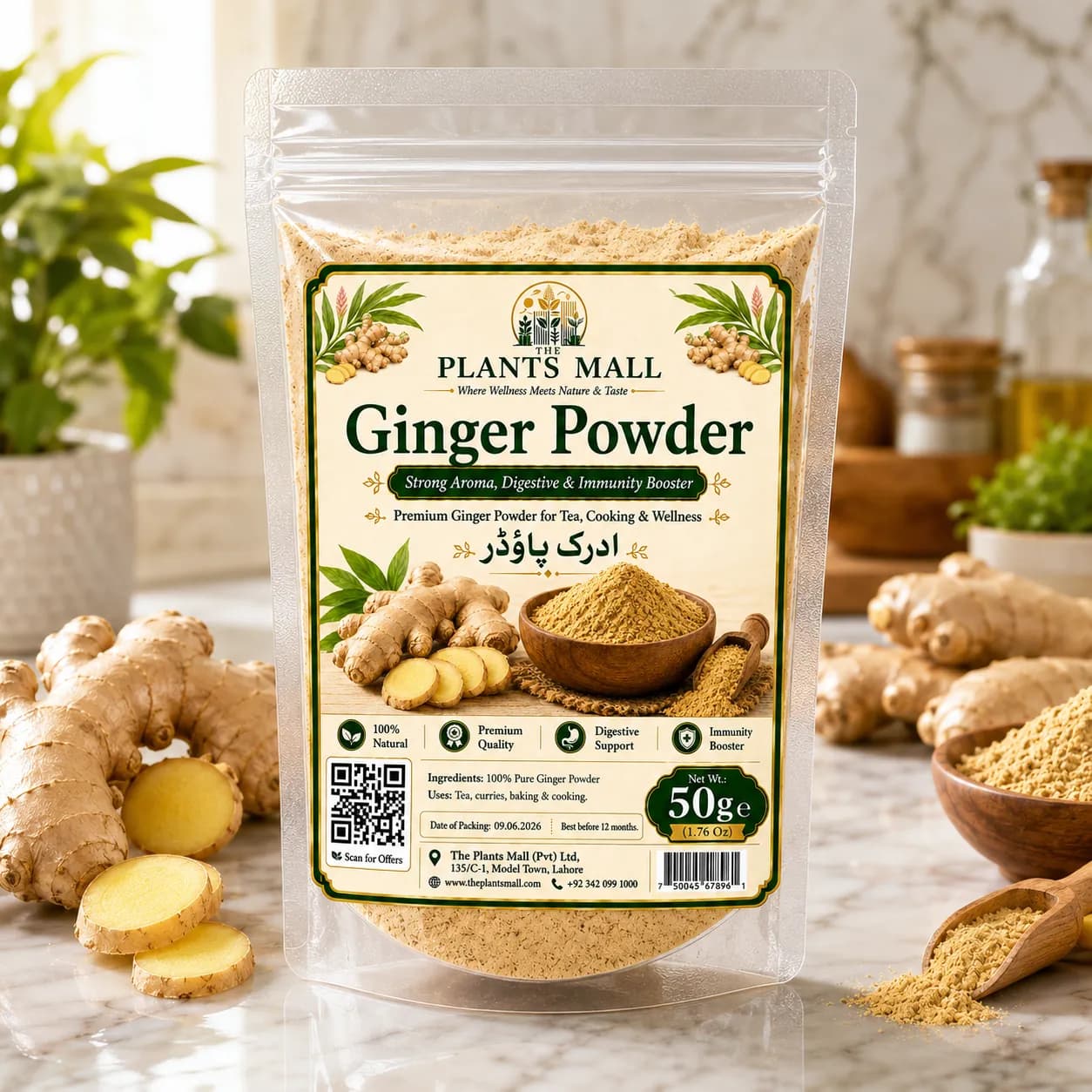 Ginger Powder Natural Saunth The Plants Mall Pakistan
