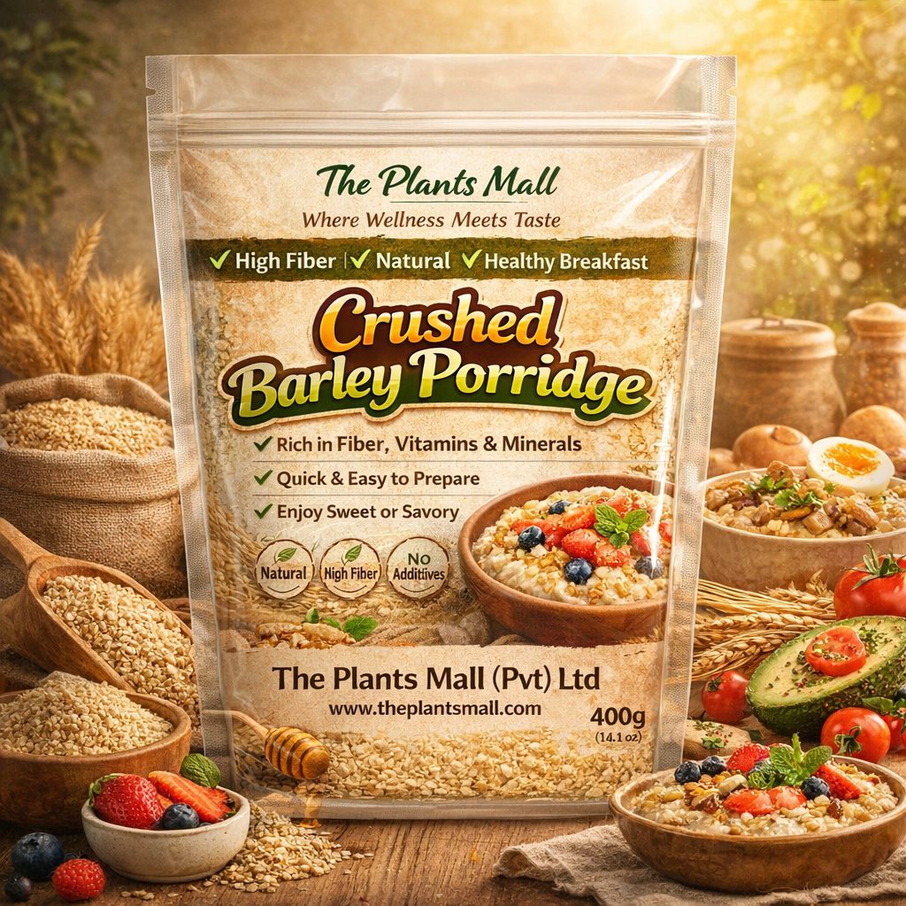 Buy best barley porridge in pakistan