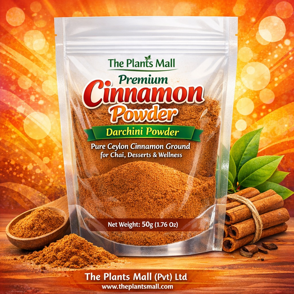 cinnamon powder Pakistan darchini powder pure natural spice