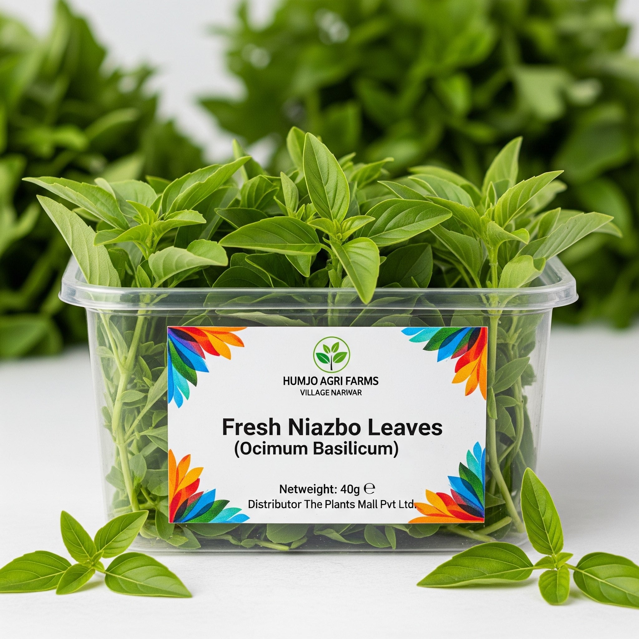 Best organic fresh Niazbo leaves for Italian cooking in Pakistan