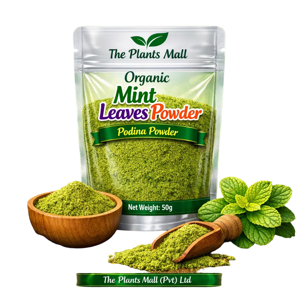 mint leaves powder Pakistan podina powder natural herb