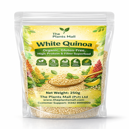 White Quinoa | Organic, Gluten-Free, High Protein & Fiber Superfood