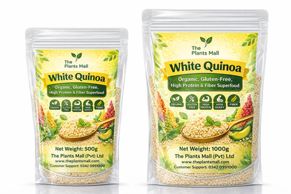 White Quinoa | Organic, Gluten-Free, High Protein & Fiber Superfood